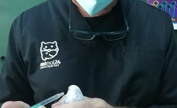 Veterinario Animales Y Compañia