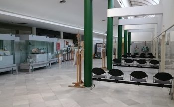 Hospital Clínico Veterinario Complutense