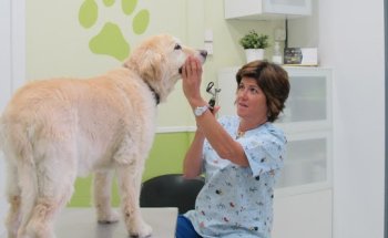 Clínica Veterinaria Hoyo de Manzanares