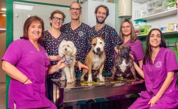 Clinica Veterinaria Bendinat