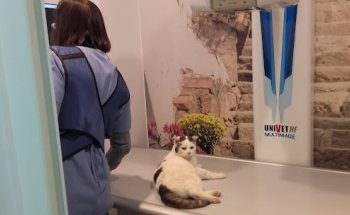 Clínica Veterinaria Pirineos