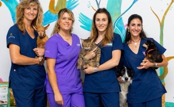 Clínica Veterinaria Babieca