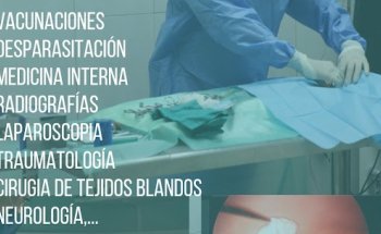 CLÍNICA VETERINARIA THE VET ALJARAFE