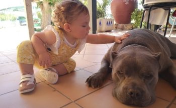 Clínica veterinaria 4 patas