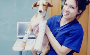 Clínica Veterinaria La Mota