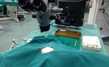 Centrovet Cantabria. Veterinarios Especilistas en Pequeños Animales.