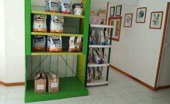 Clinica Veterinaria San Bartolomé