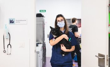 AniCura Valencia Sur Hospital Veterinario