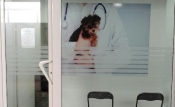 Veterinaria María Isabel Manrique