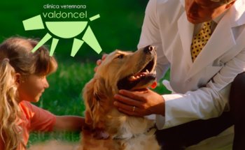 Clínica Veterinaria Valdoncel