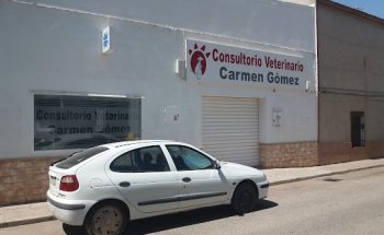 Clínica Veterinaria Carmen Gómez