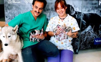 Centro Veterinario Ramos-Neble