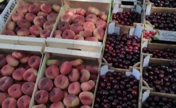 Enrique Javier Arnedo Ibáñez