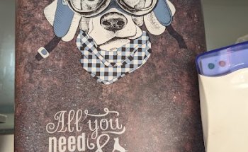 Clinica Veterinaria Dingo