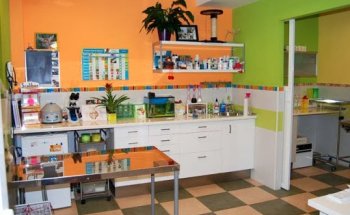 Clínica Veterinaria La Campiña