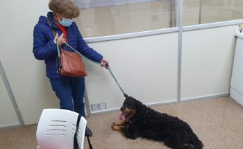 Clínica Veterinària Tecnos