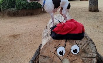 Josep Estañol Masvidal