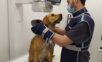 Clínica Veterinaria Meu Vet