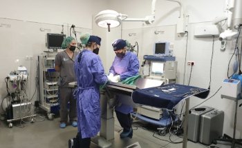 Vetcare Hospital Veterinario 24h