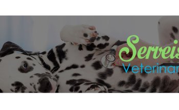 Serveis Veterinaris Baix Llobregat
