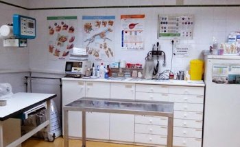 Veterinari Dispensari del Valles S.L.