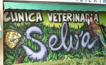 Clínica Veterinaria Selva