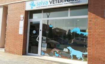 Selva Veterinaris