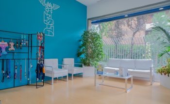 Hospital Veterinario Alberto Alcocer