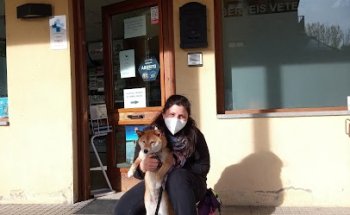 Serveis Veterinaris De La Cerdanya