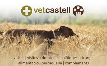 Vetcastell Centro Veterinario