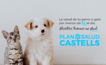 Clínica Veterinaria Wecan Castells