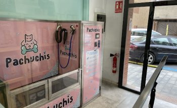 Centre Veterinari Pachuchis