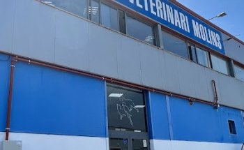 Hospital Veterinario Molins
