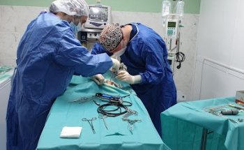 VETERINARIA DOG MOIXET( 24H 933112056 CONCERTADO)