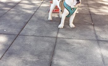 Clínica Veterinaria Noroeste