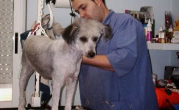 Centrofauna Veterinaria