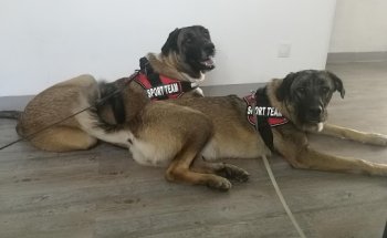 Clínica Veterinaria Simón Verde