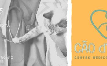 Cão d'Amor | Clínica Veterinária
