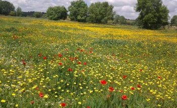 Unidad Veterinaria de Ciudad Rodrigo