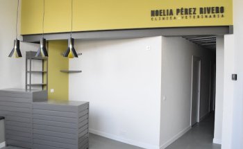 Clínica Veterinaria Noelia Pérez Rivero