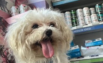 Clínica Veterinaria Comtat