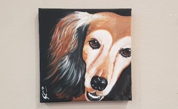 Clínica Veterinària SVSANA