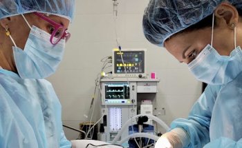 Centro Veterinario Cauvet C.B