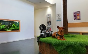 Hospital Aralar Veterinarios