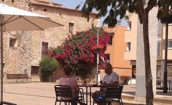 Asis Consultori Veterinari Cunit