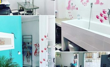 CENTRO VETERINARIO LA ESTRELLA-Daimiel