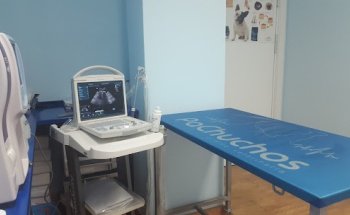 PaChuchos clínica veterinaria