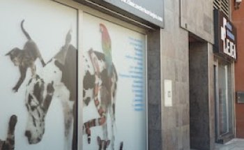 Clínica Veterinaria Ejea