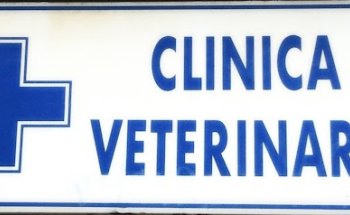 Clínica Veterinaria Cruz Azul