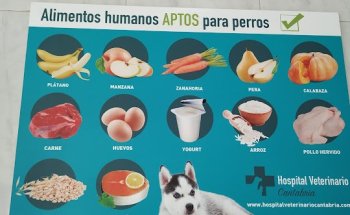 Hospital Veterinario Astillero